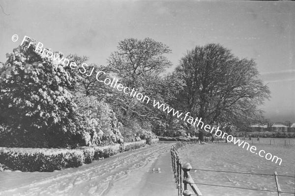 RATHFARNHAM CASTLE GROUNDS IN THE SNOW